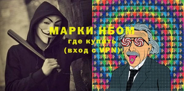 хмурый Арсеньев