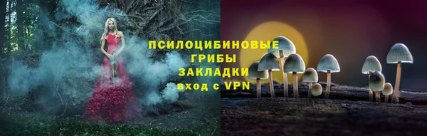 хмурый Арсеньев