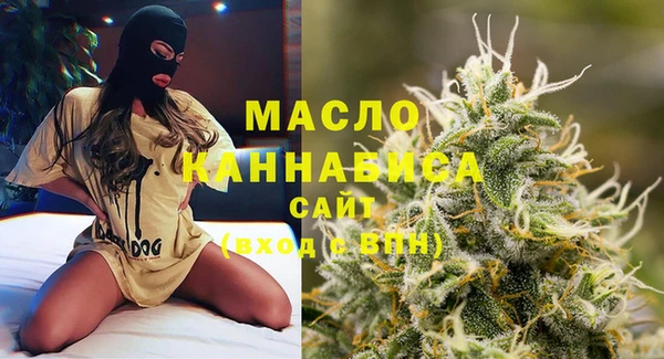 хмурый Арсеньев