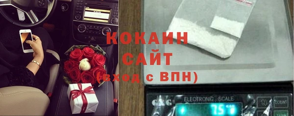шишки Аркадак