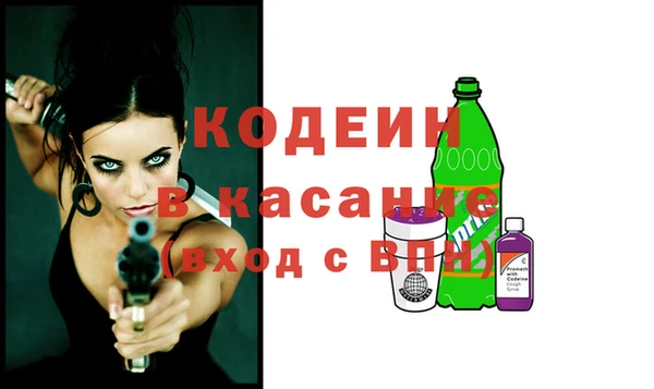 хмурый Арсеньев