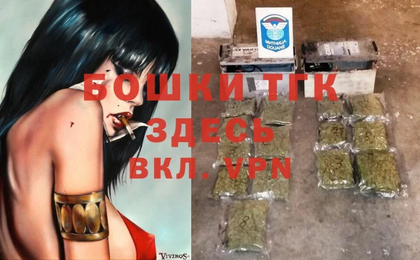 хмурый Арсеньев