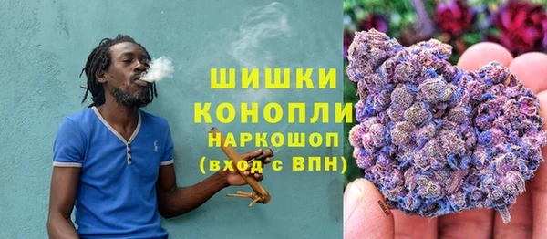 шишки Аркадак