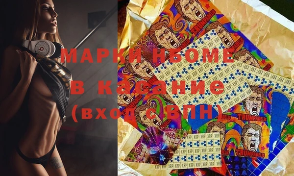 хмурый Арсеньев