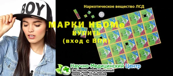 хмурый Арсеньев