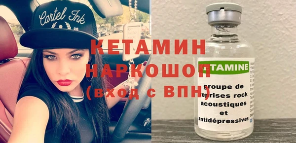 шишки Аркадак