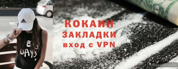 шишки Аркадак