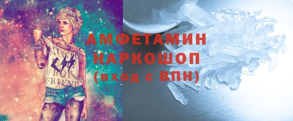 шишки Аркадак